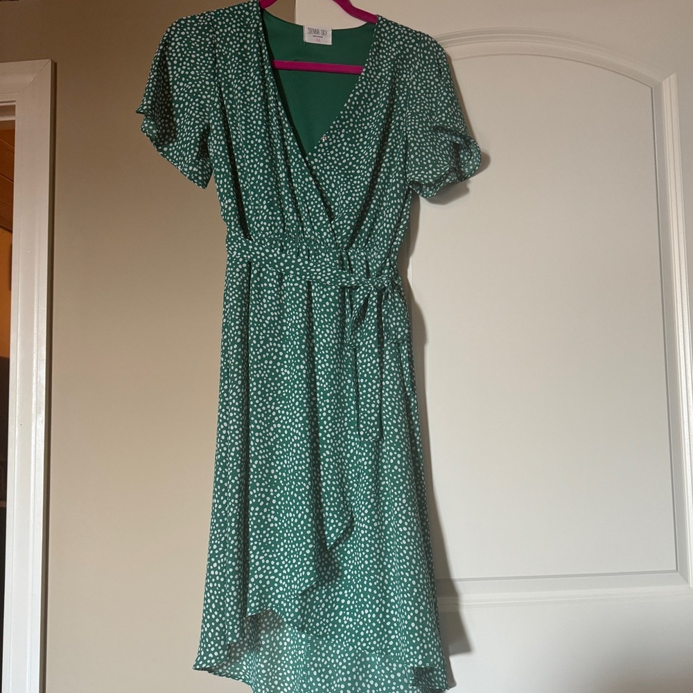 Sienna Sky Green Polka Dot Dress
